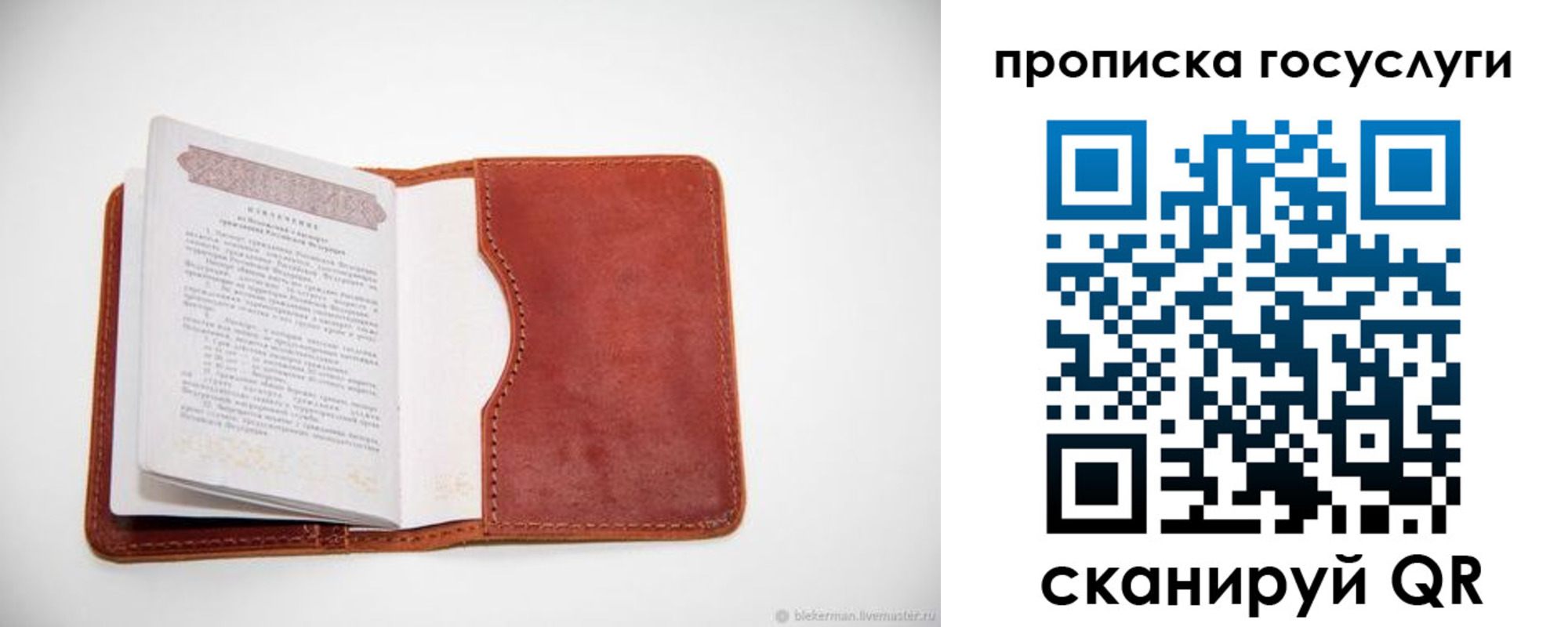 регистрация в Судогде